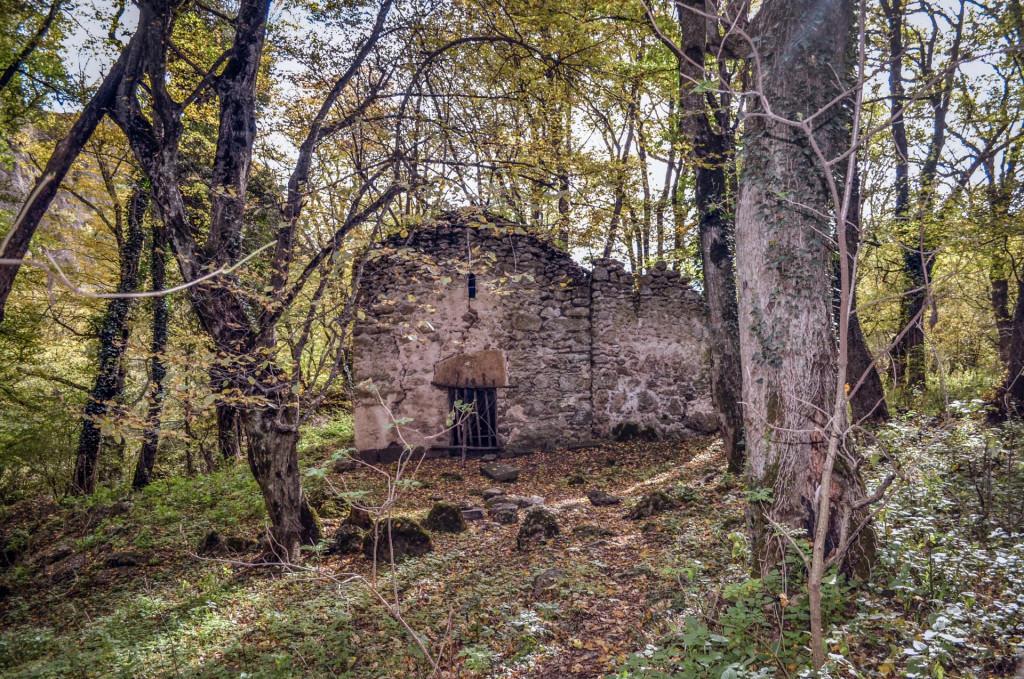 ბირთვისის ციხის კომპლექსი - Birtvisi fortress