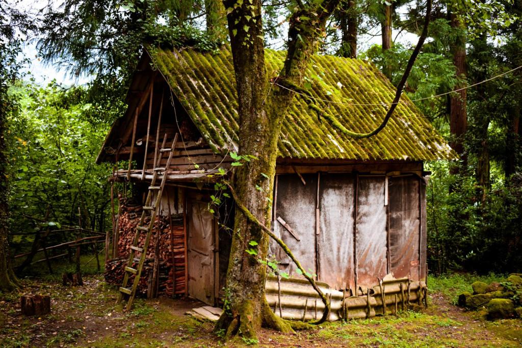 ლეღვას ესაძეების 160 წლის ხის ოდა