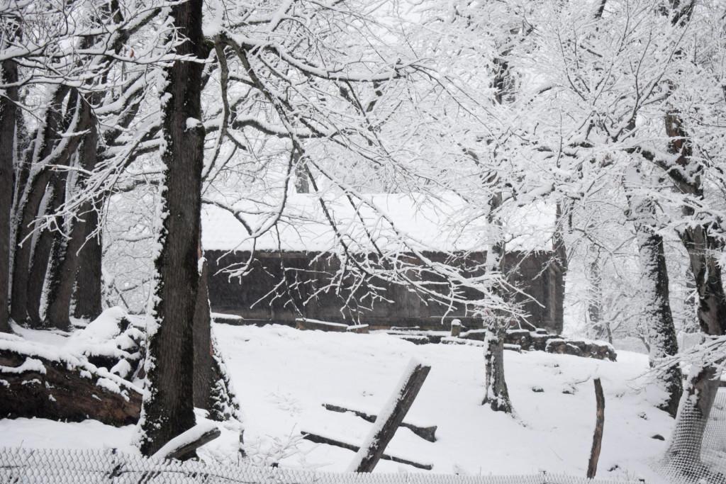 ეთოს ხის ეკლესია