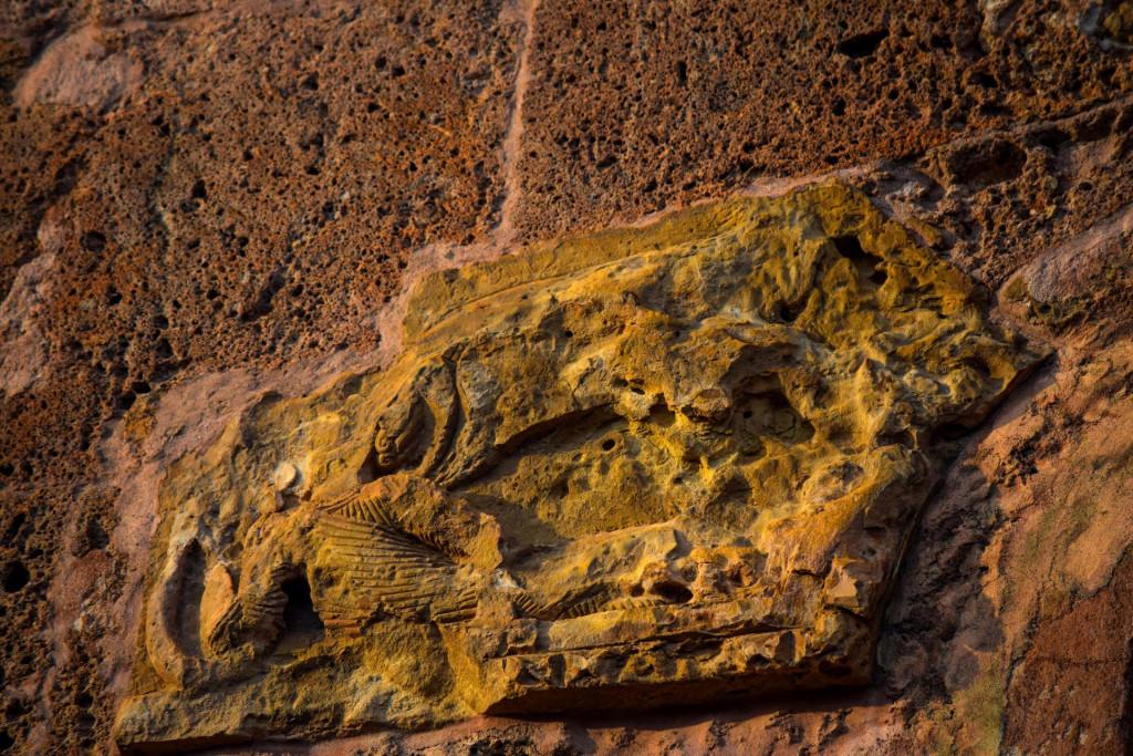 ოძუნის მონასტერი