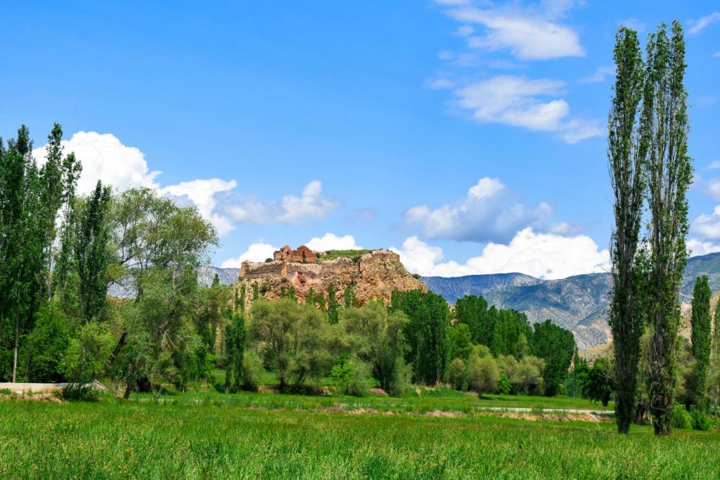 ფარნაკის ციხე