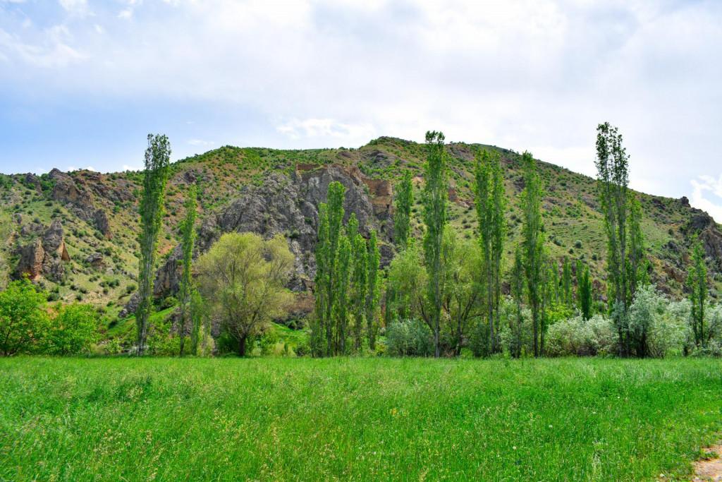 ზემო ფარნაკის (ავჭალის) ციხე