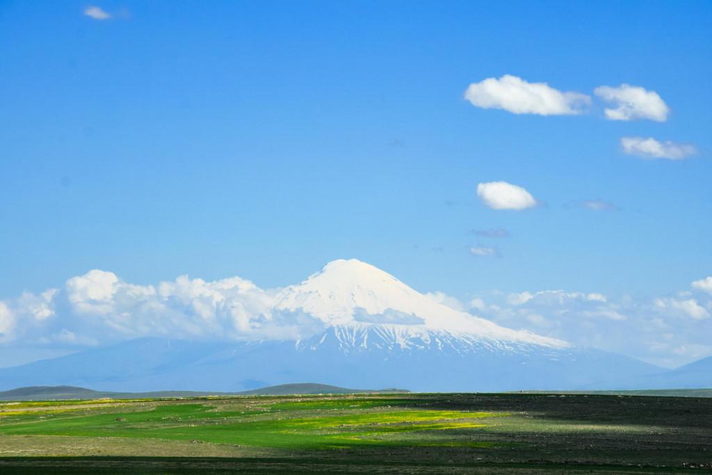 არარატის მთა