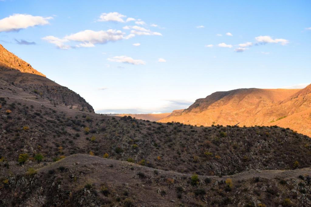 დიდი აბული