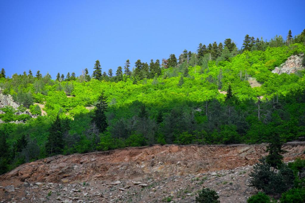 ოთხთა ეკლესია