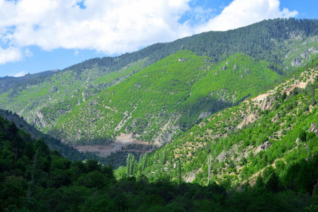 ოთხთა ეკლესია