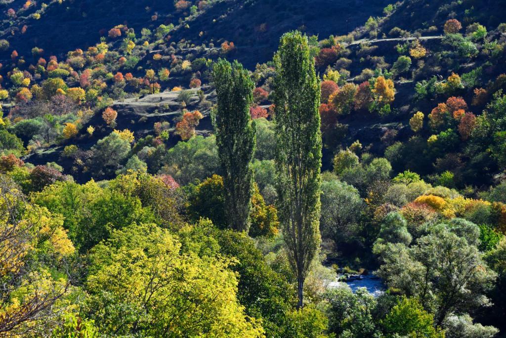 ხერთვისის ციხე