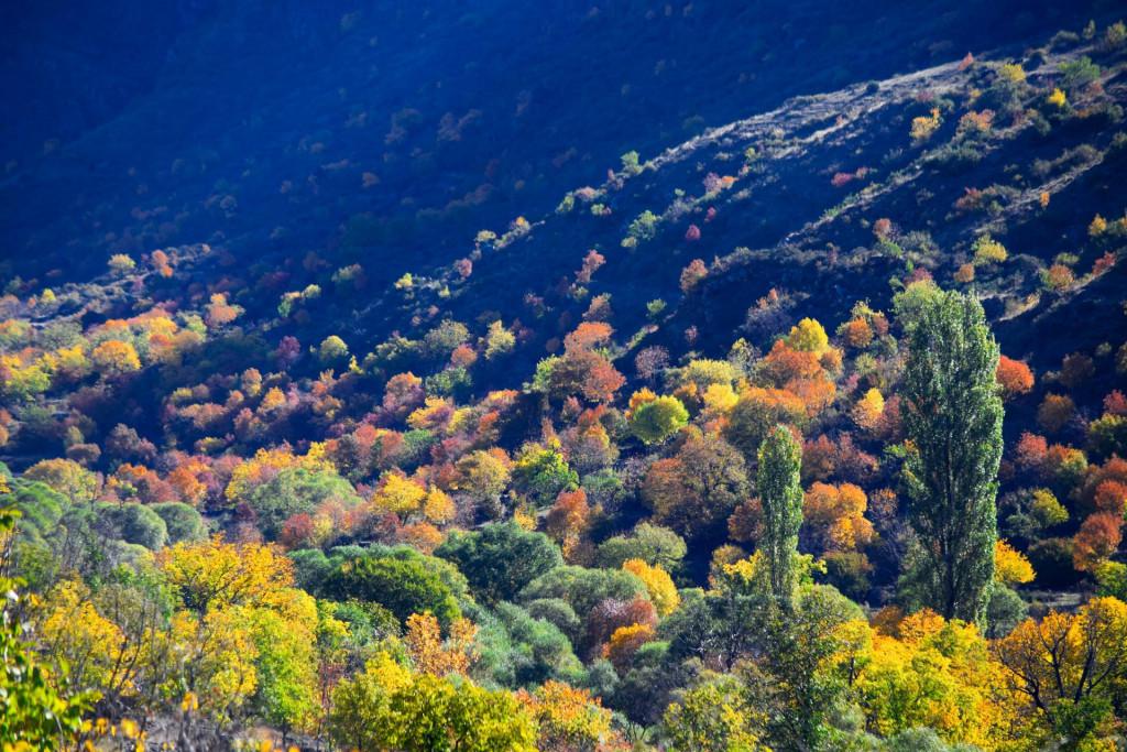 ხერთვისის ციხე