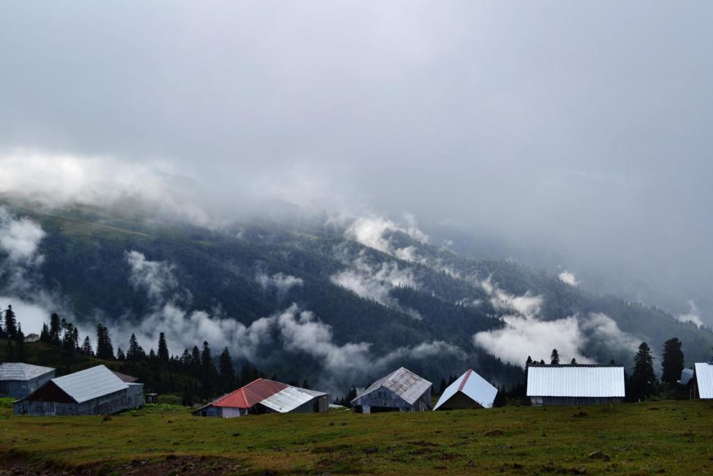 გომის მთა, გურია - Gomis Mta, Guria