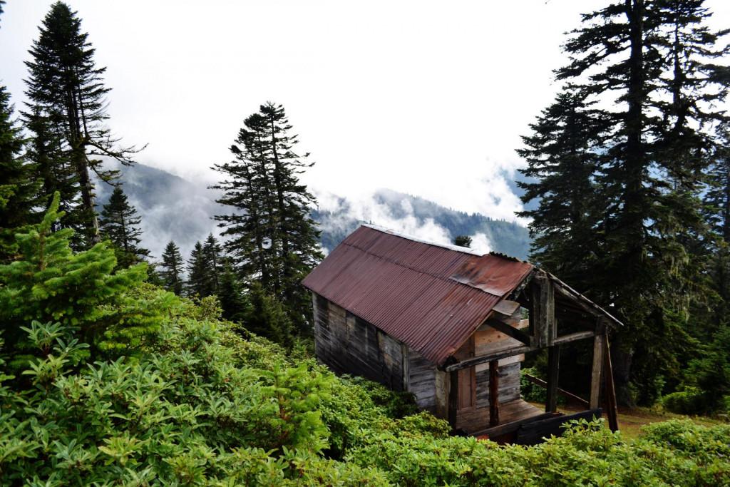 Gomis mta, Guria - გომის მთა, გურია