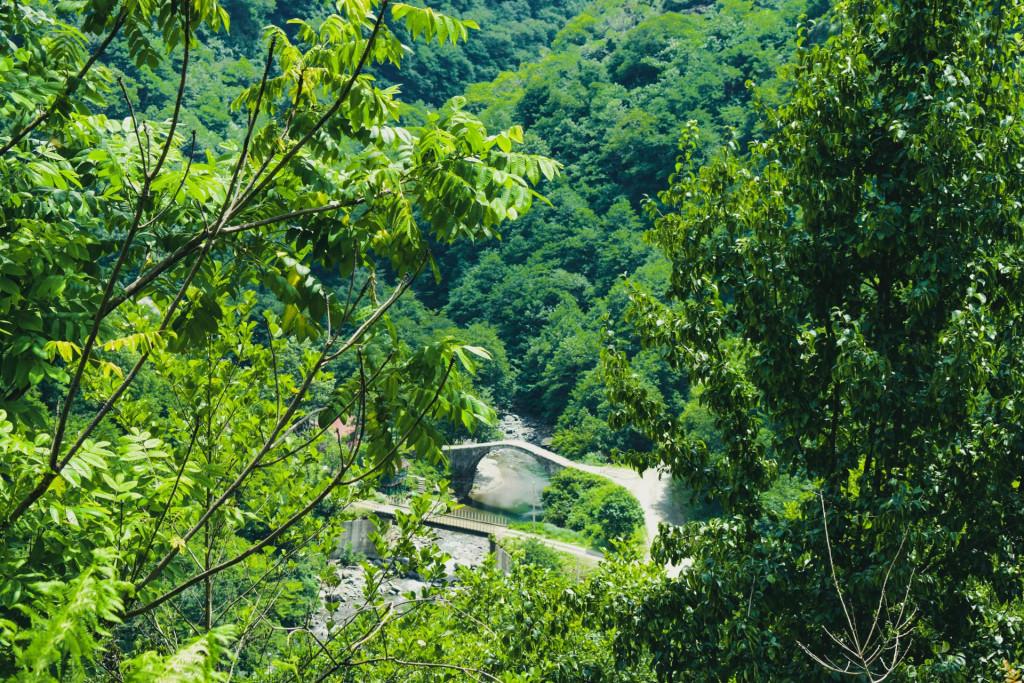 ტყემაკარავის შუა საუკუნეების (თამარის) ქვის ხიდი