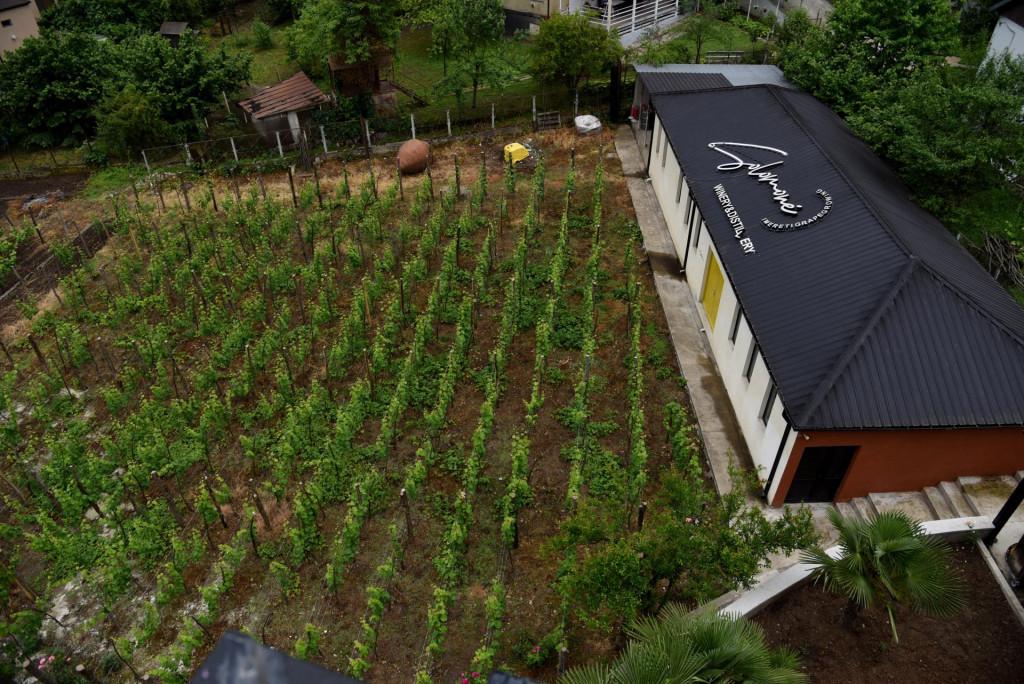 სასტუმრო ჭიათურელი