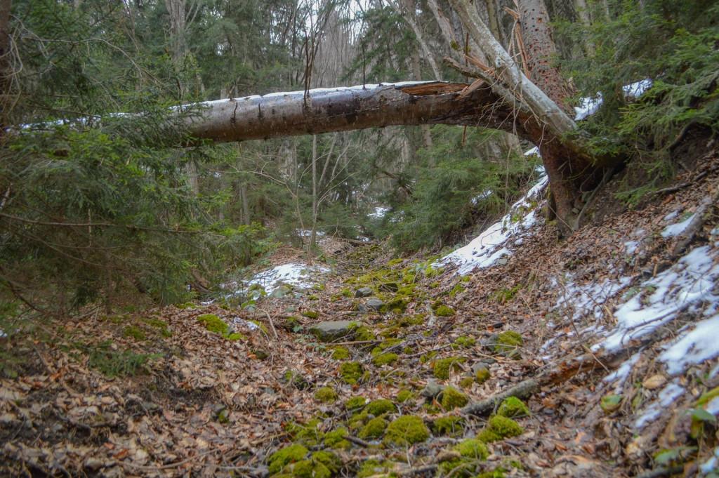 ატენის ხეობა, ატენის სიონი - Ateni gorge, Ateni Sioni Church