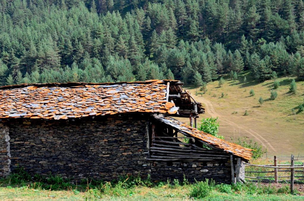 დიკლო ჩაღმათუშეთი Diklo Chagmatusheti