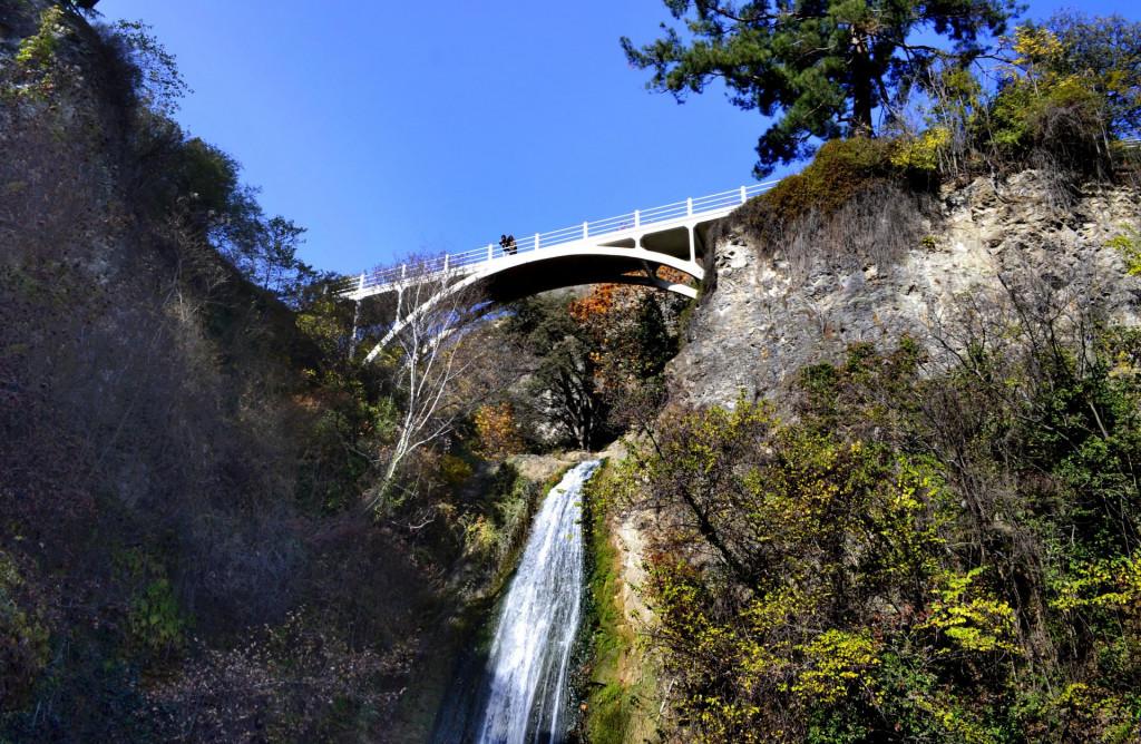 ბოტანიკური ბაღი, თბილისი