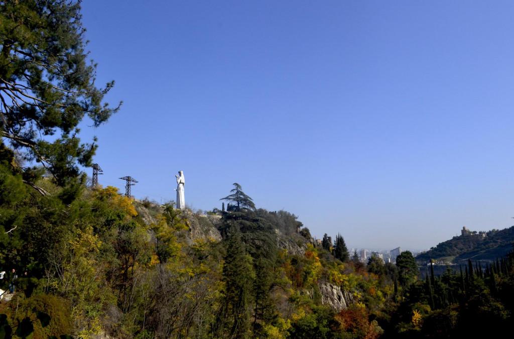 Botanical garden, ბოტანიკური ბაღი