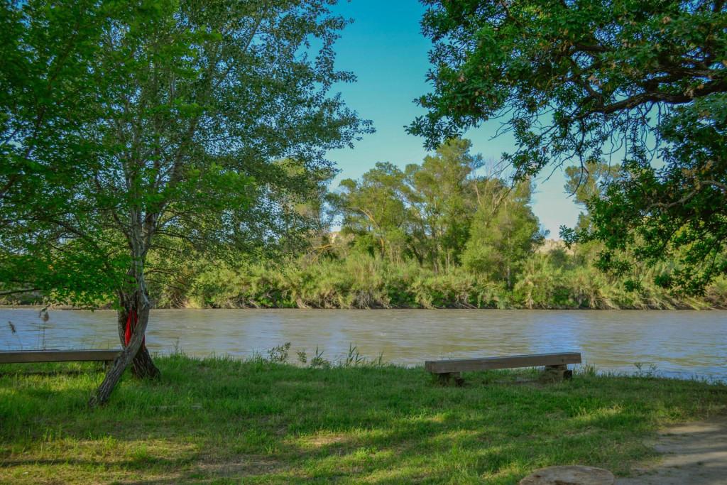 მიჯნისყურე - Mijnisyure