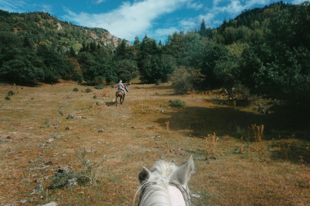 Horse riding in Borjomi nature with transfer