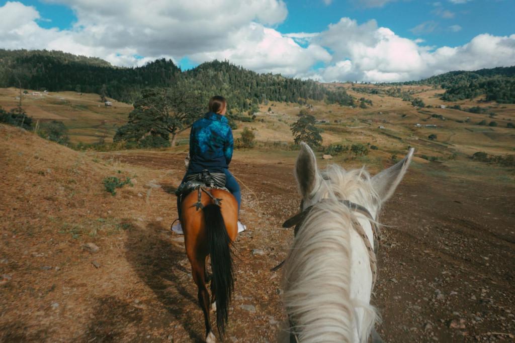 Horse riding in Borjomi nature with transfer