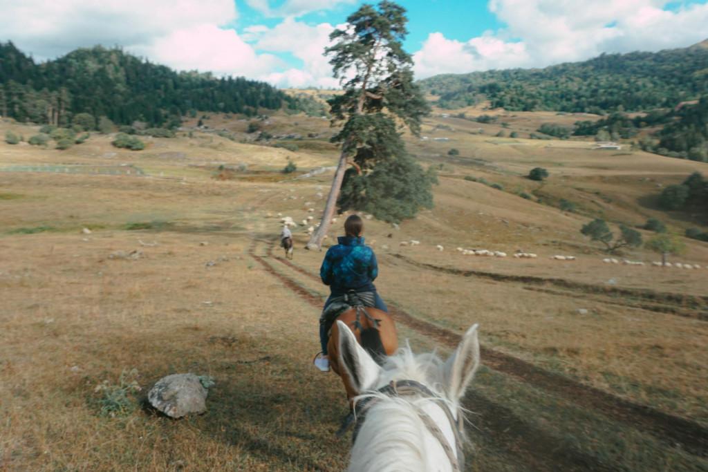 Horse riding in Borjomi nature with transfer
