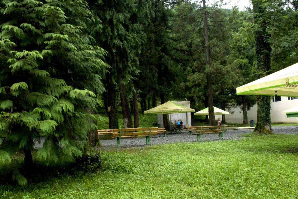 ნაბეღლავი, გურია - Nabeghlavi Guria