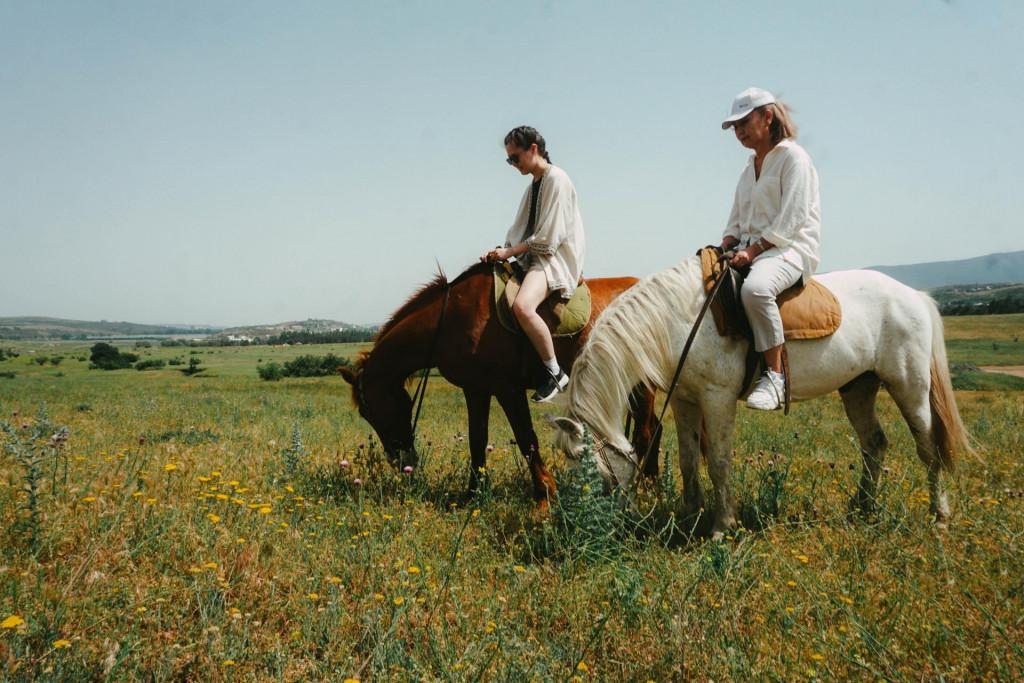 Horse riding tour in Tbilisi (pro photoshoot option)
