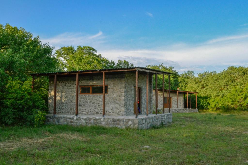 მიჯნისყურე - Mijnisyure