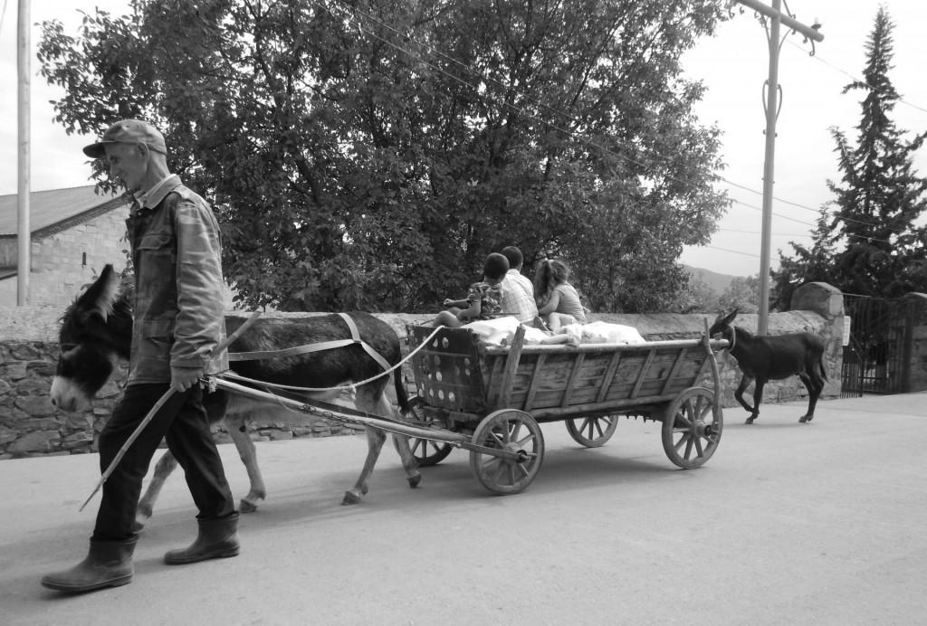 Dmanisi -first hominids and inscriptions from Bolnisi