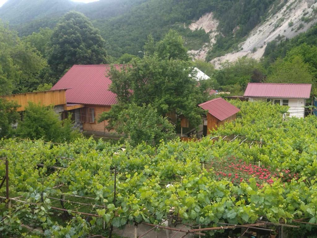 სასტუმრო რაჭა