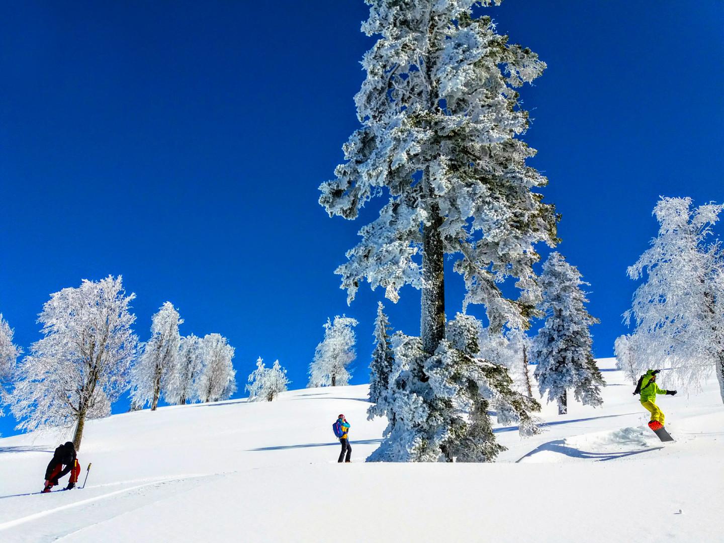 Goderdzi Ski Resort