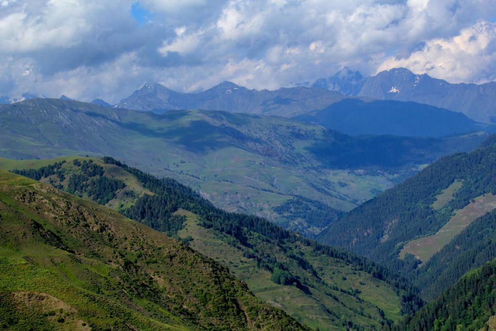 ბოჭორნა, გომეწრის ხეობა, თუშეთი
