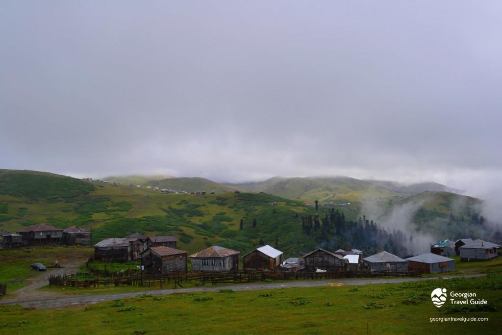 gomis-mta-guria-gomis-mta-guria-