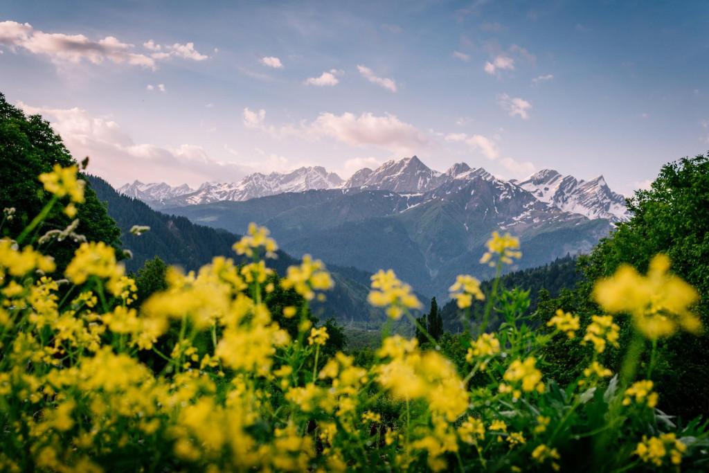 ჭიორა ინ - Chiora Inn