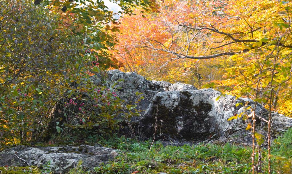 გუდარეხის მონასტერი