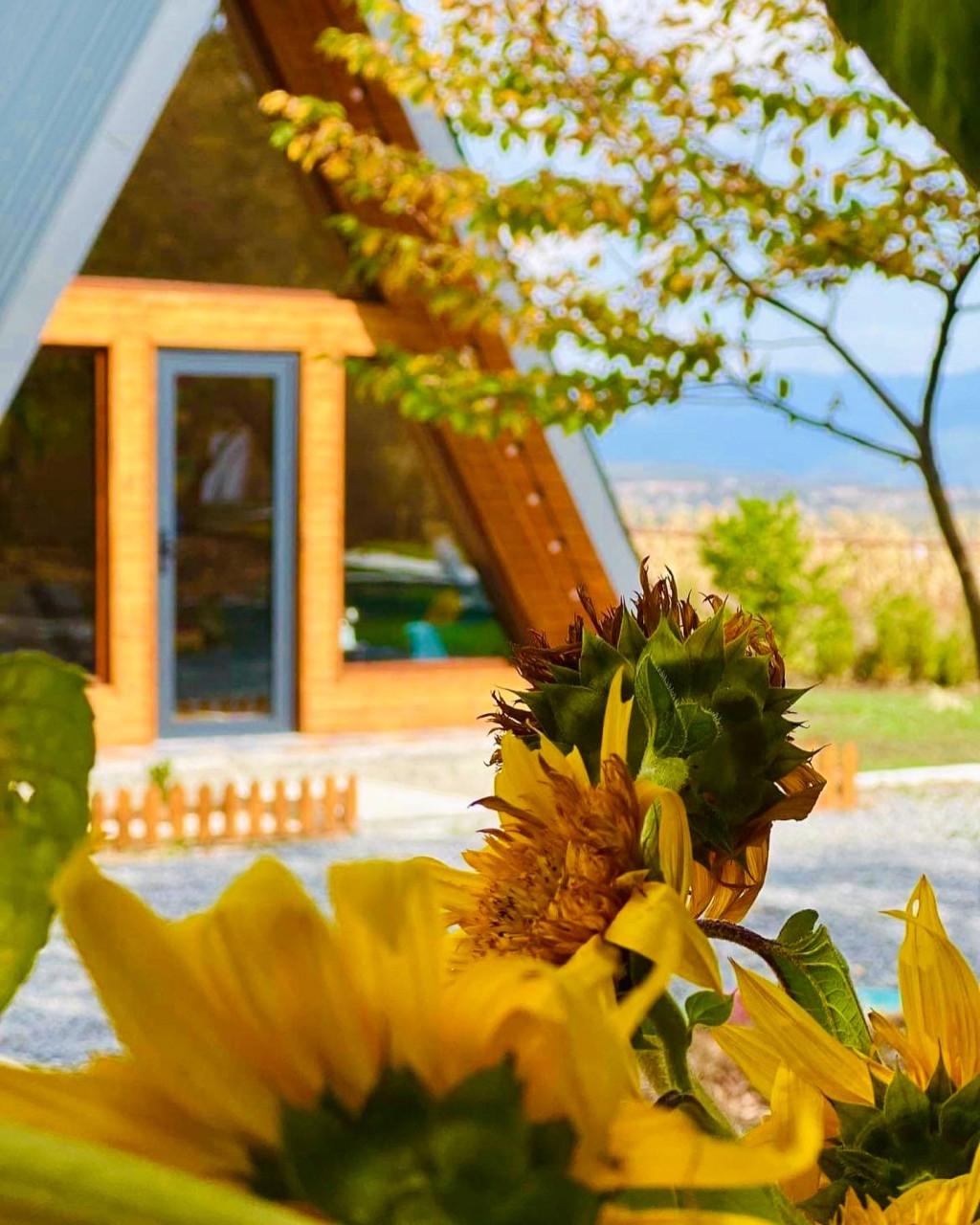 ნარნიას კოტეჯები