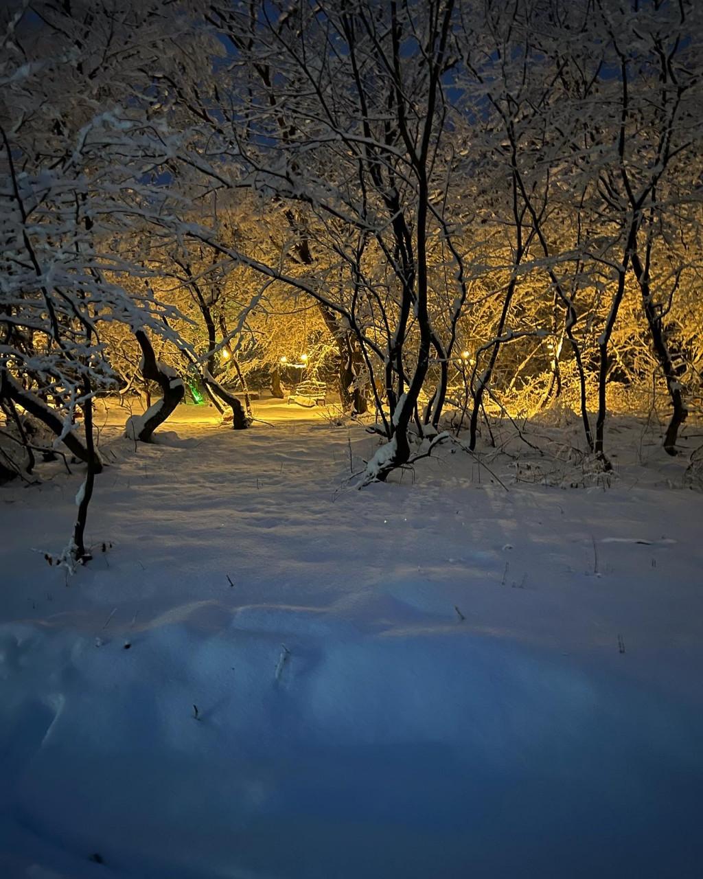 ნარნიას კოტეჯები