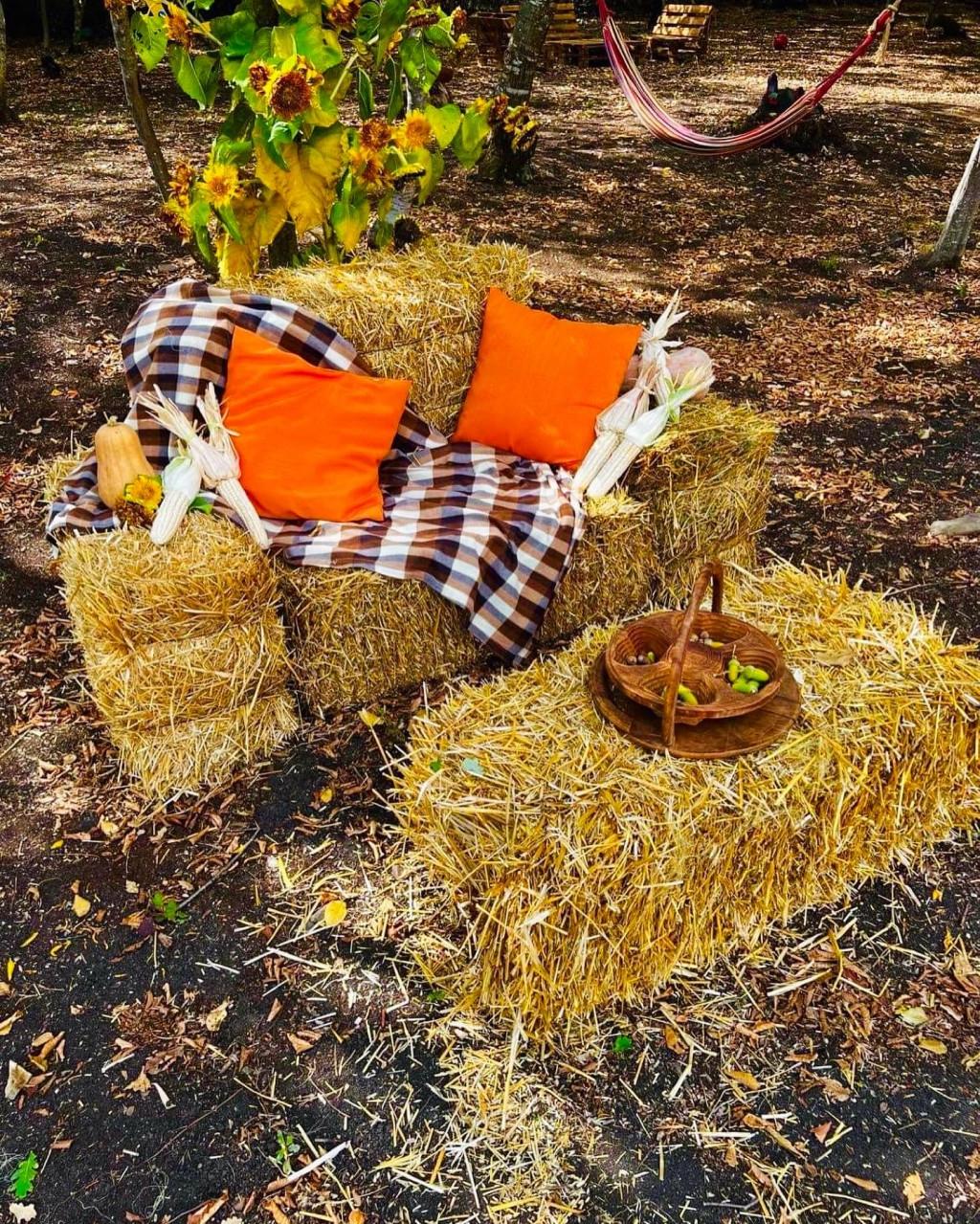 ნარნიას კოტეჯები