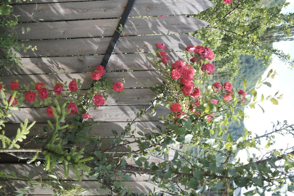 კოტეჯი ფასანაურში