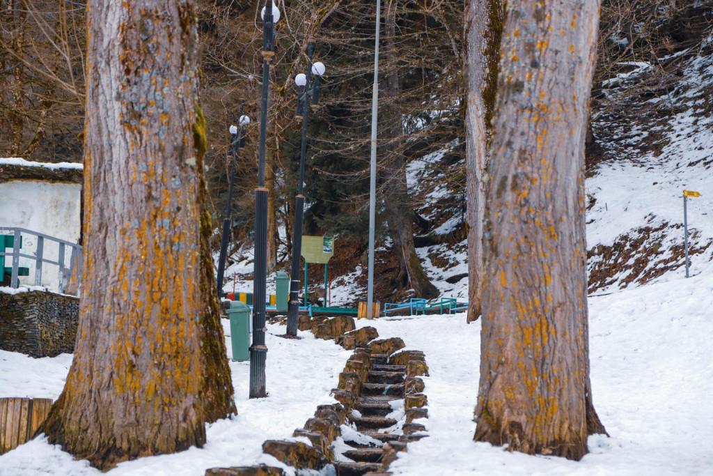 Tsaghveri mineral water pack