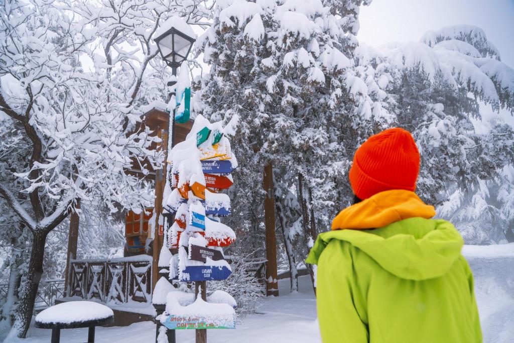 მთაწმინდის პარკი Mtatsminda Park, Парк Мтацминда