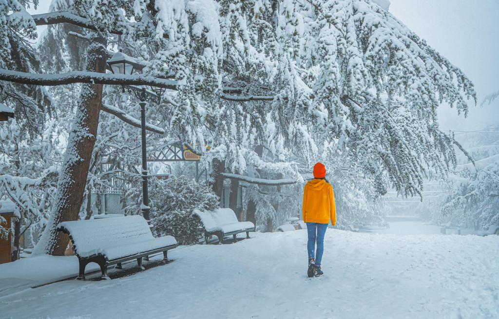 მთაწმინდის პარკი Mtatsminda Park, Парк Мтацминда