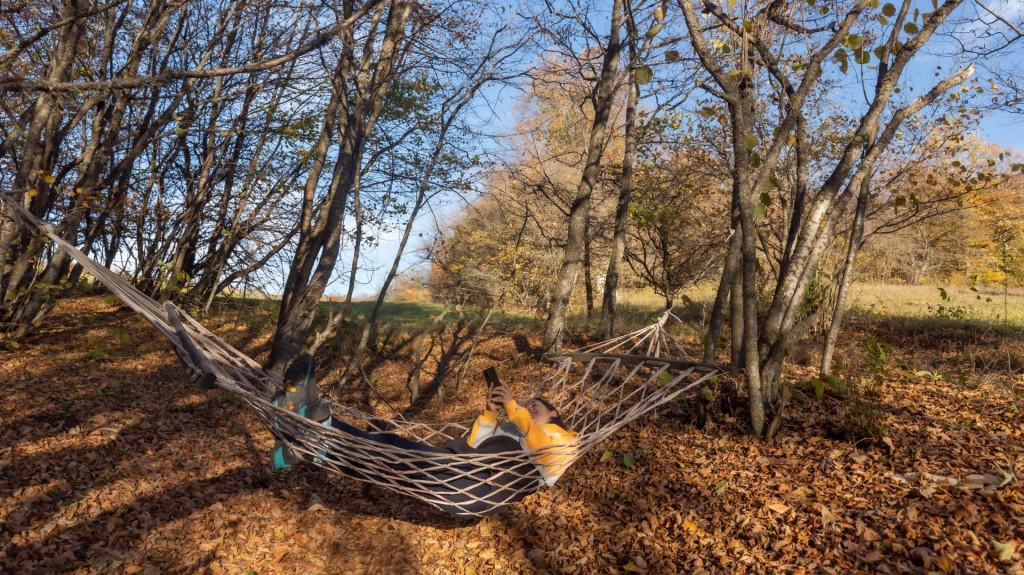 მარწყვის ქოხი