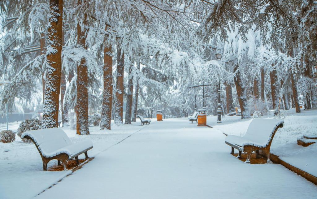 მთაწმინდის პარკი Mtatsminda Park, Парк Мтацминда