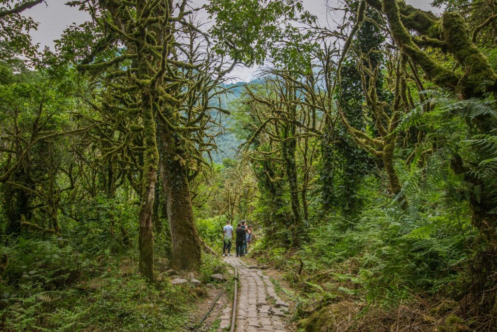 მირვეთი, ხელვაჩაური, აჭარა - Mirveti, Khelvachauri, Adjara
