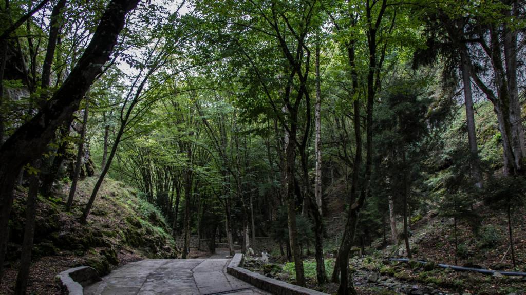 მწვანე მონასტერი green monastery