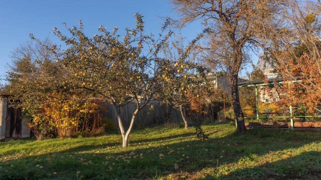 სიონის იდილია