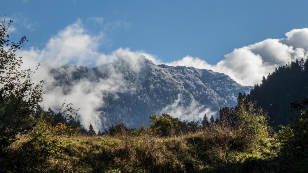 ნეძვის აღკვეთილი - Nedzvi Managed Reserve