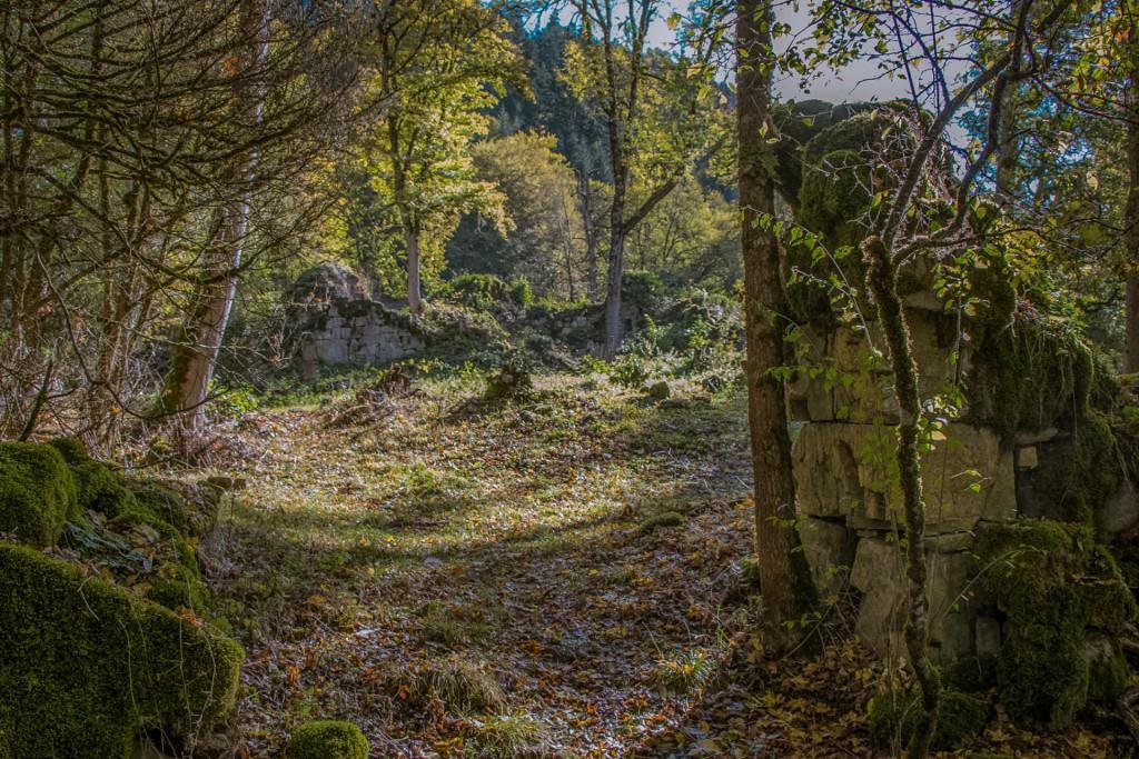 ნეძვის მონასტერი, ნეძვის სამეკლესიანი ბაზილიკა - Nedzvi monastery