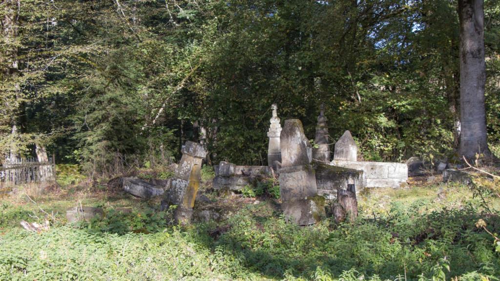 ნეძვის აღკვეთილი - Nedzvi Managed Reserve