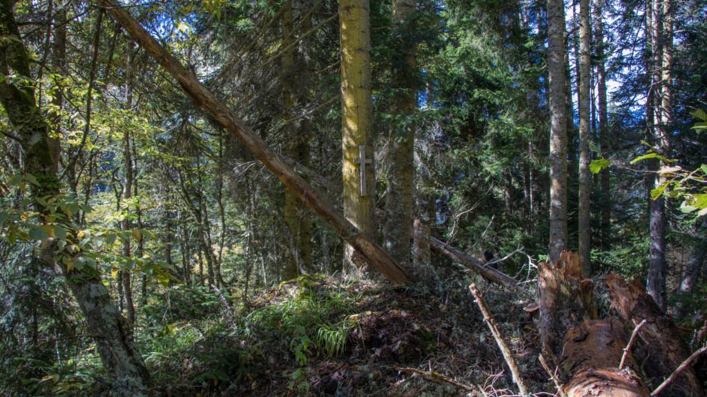 ნეძვის აღკვეთილი - Nedzvi Managed Reserve